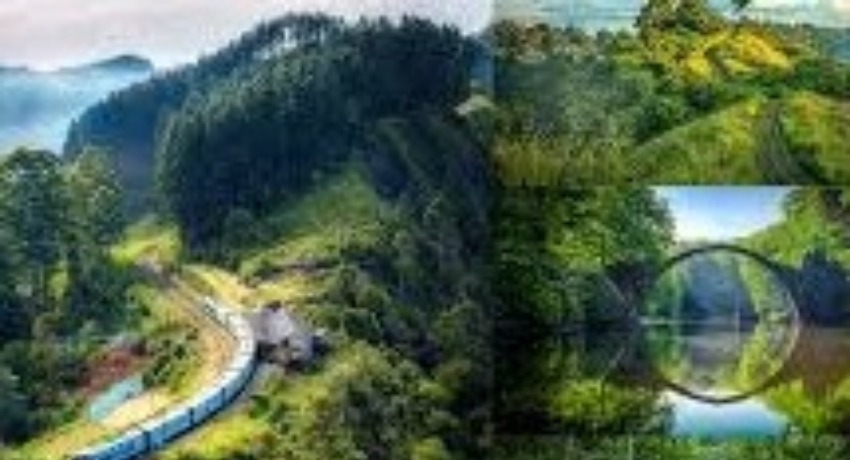 海角社区 - 连接你我的温暖交流平台